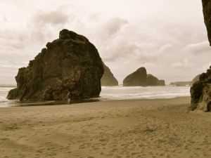 Unknown Beach in South Oregon