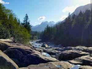 A roadside creek on the way to Tofino