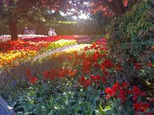 One of the gardens in the Skagit Region