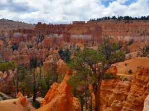 A view along the Queens Garden Trail