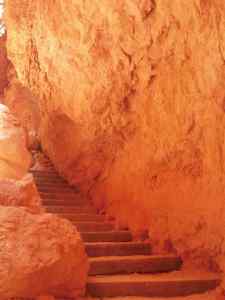The rock formation called "Wall Street" along the Navajo Loop Trail
