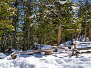 Along the road in the Rocky Mountain National Park