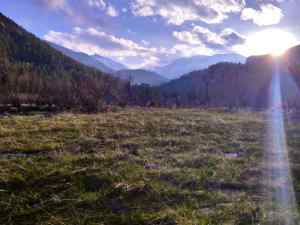 Views Along the Cub Lake Trail
