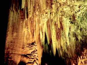 Stalagmites at the Carlsbad Caverns