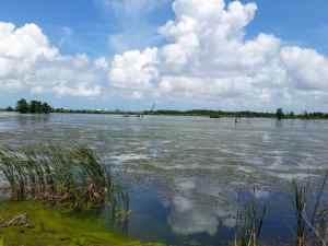 More views of the delta