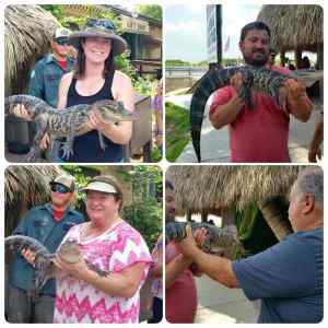 We all got to hold a 4yr old domesticated alligator