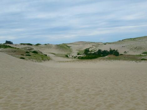 The cape had some awesome sand dunes