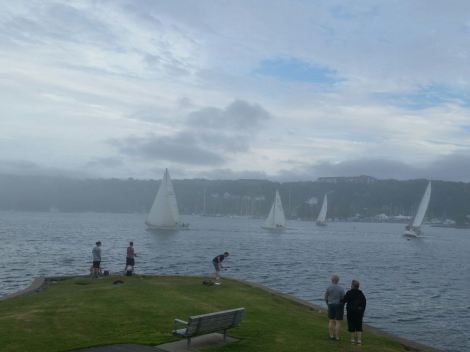 Sail boats at Halifax