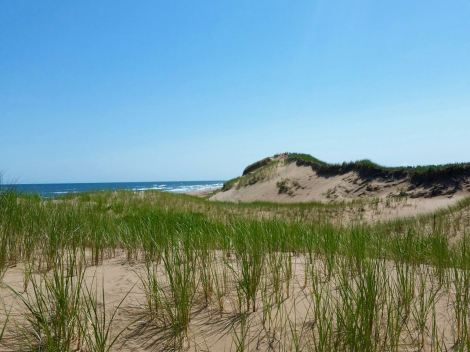 PEI Sand Dunes