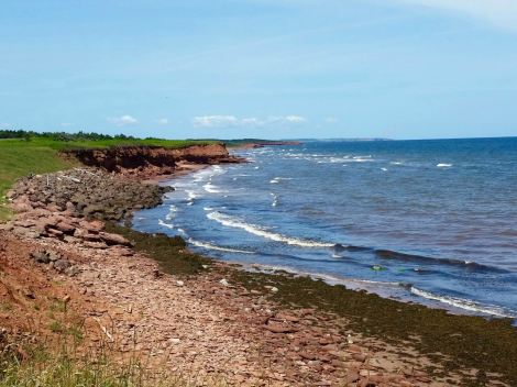 The cobbly beach side of PEI