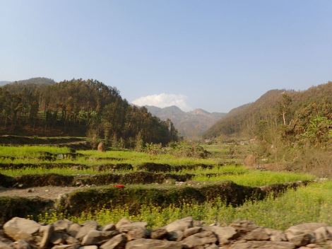 Terraced rice fields